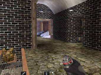screenshot of AssaultCube
